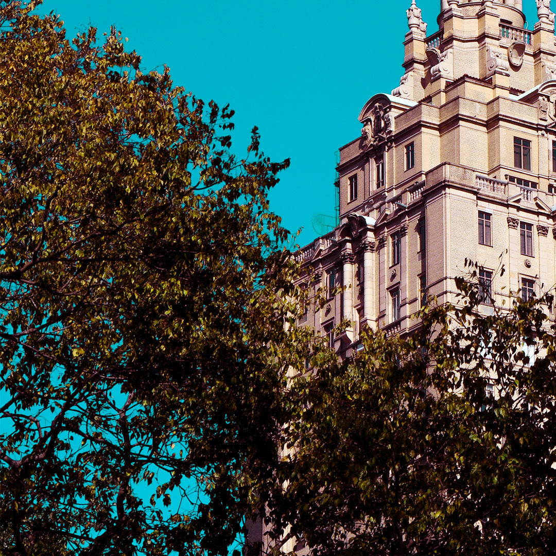 Central Park - New York City - Framed photography