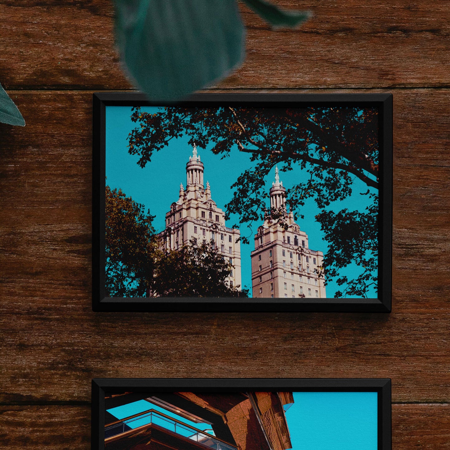 Central Park - New York City - Framed photography