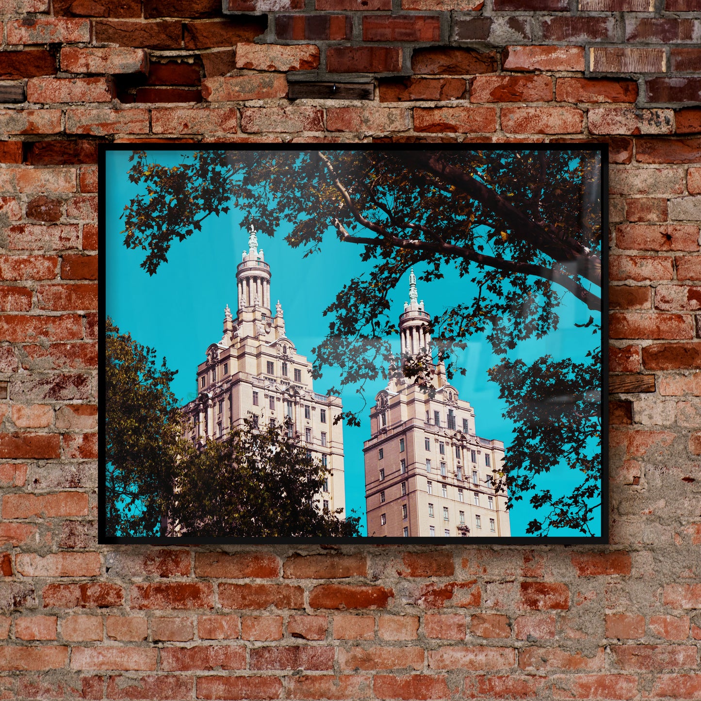 Central Park - New York City - Framed photography